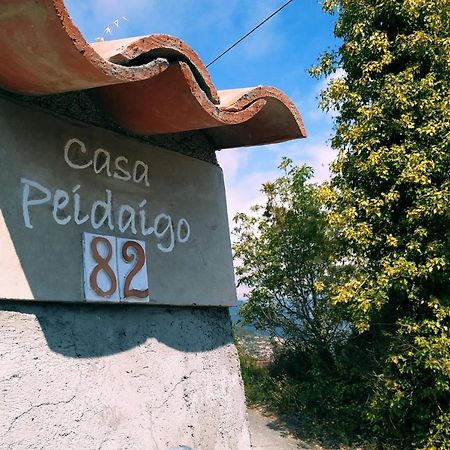 Casa Peidaigo Immersa Nel Verde,Vista Mare E Monti Вентимиля Екстериор снимка